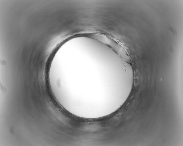 X0000090720296200708101559