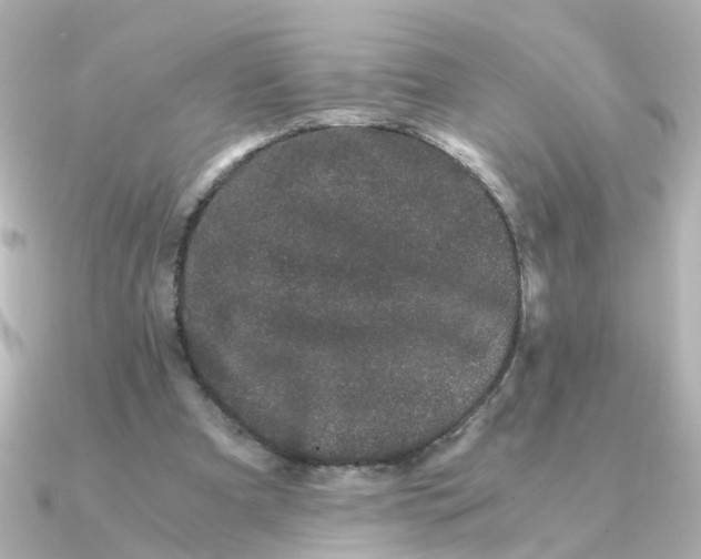 X0000090720297200708101559