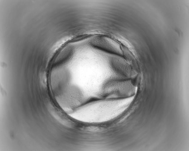 X0000090720298200708101559