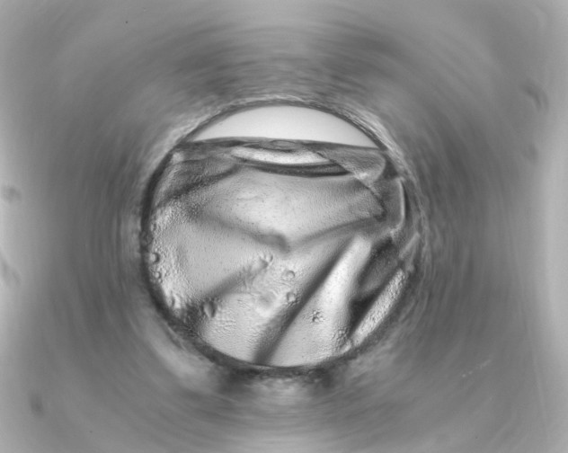 X0000090720299200708101559