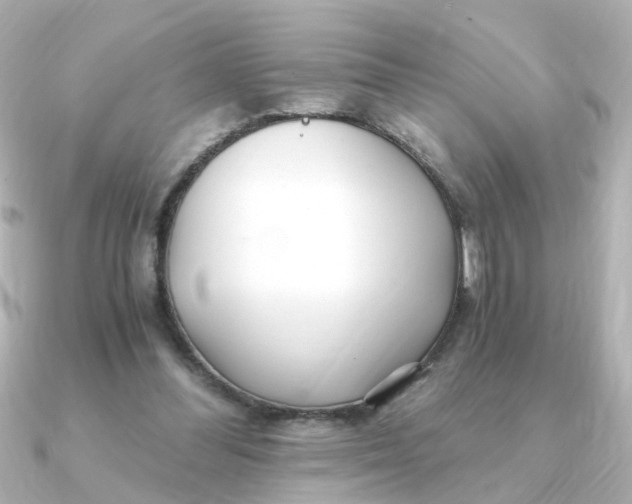 X0000090720300200708101559