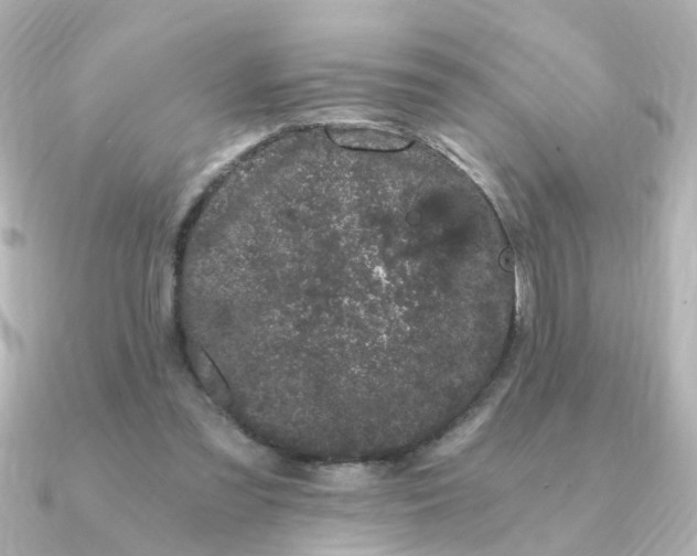 X0000090720301200708101558