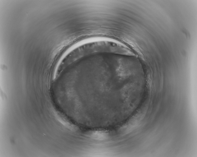 X0000090720303200708101558