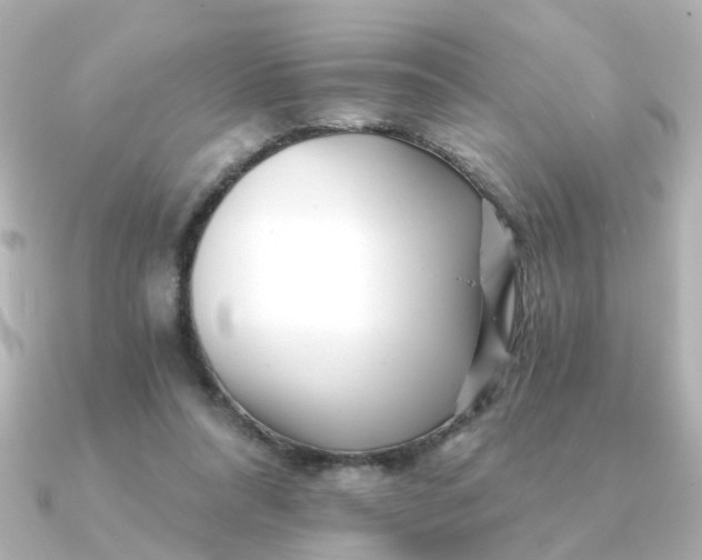 X0000090720304200708101558