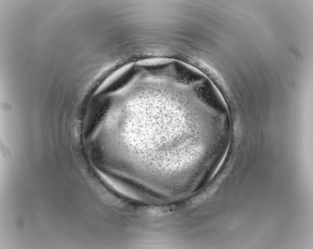 X0000090720305200708101558