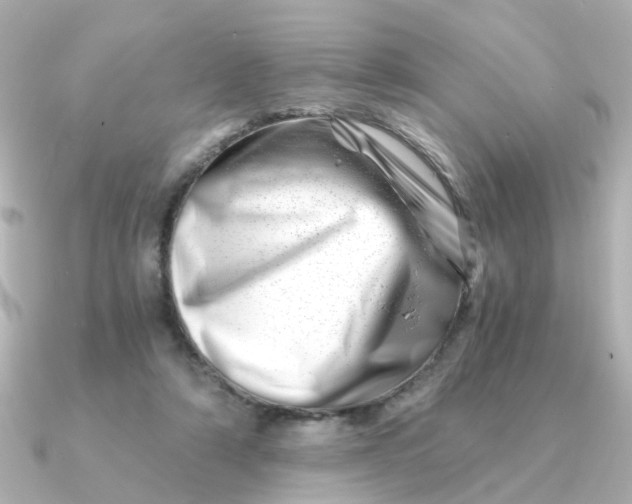 X0000090720306200708101558