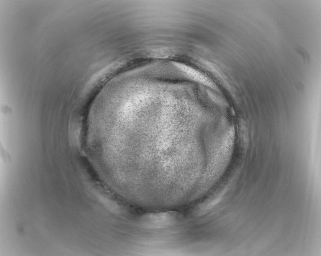 X0000090720307200708101558