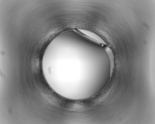 X0000090720308200708101558