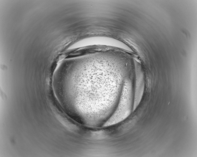 X0000090720309200708101558