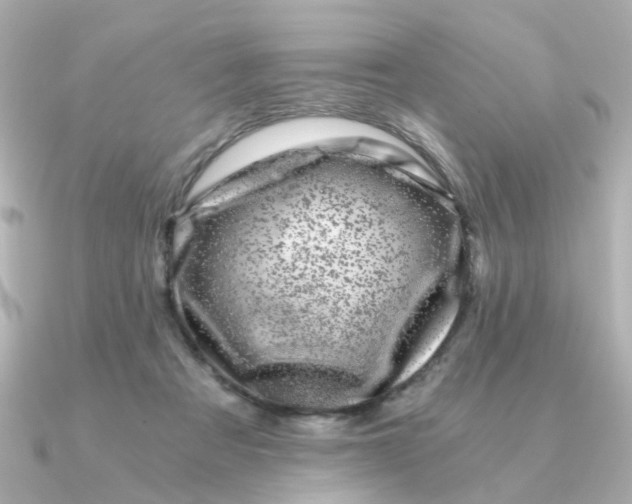 X0000090720313200708101558