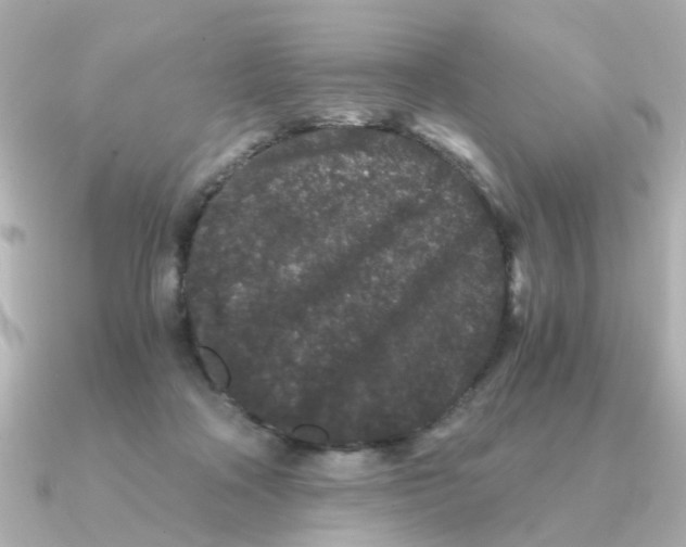 X0000090720314200708101558