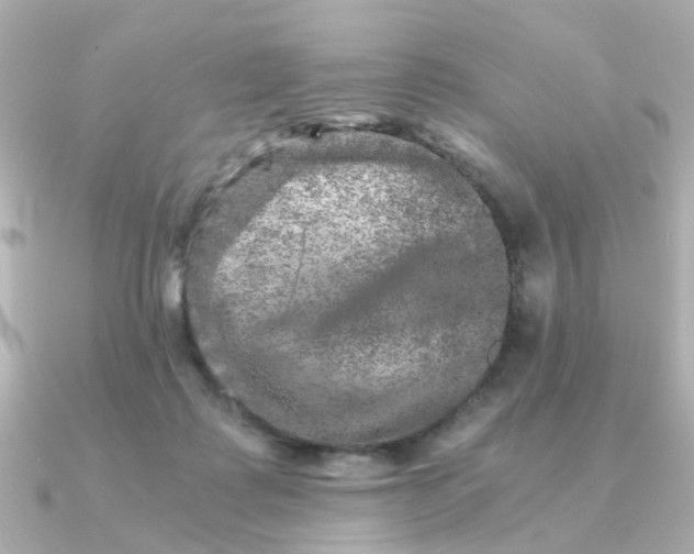 X0000090720315200708101558