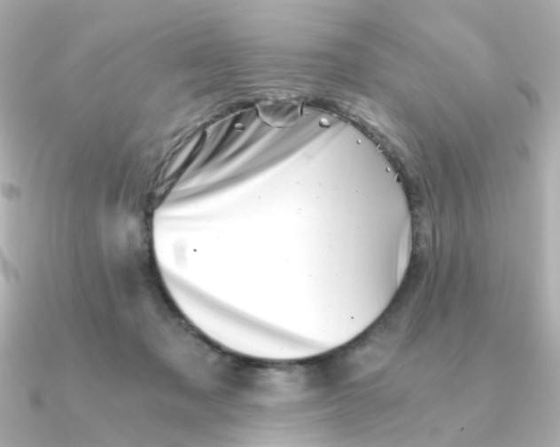 X0000090720317200708101558