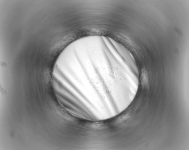 X0000090720318200708101558