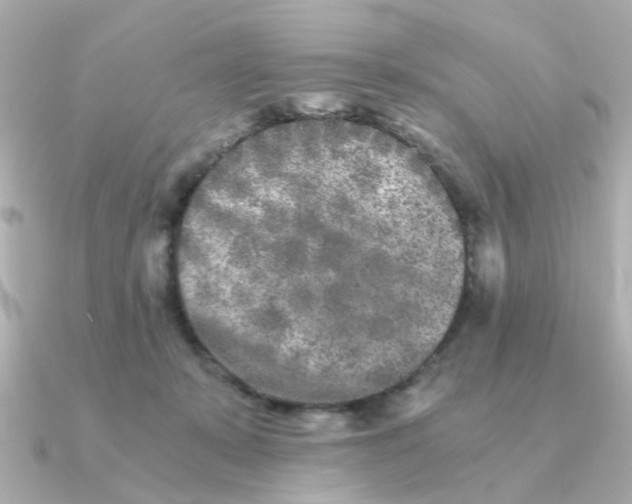 X0000090720319200708101558