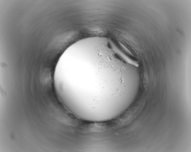 X0000090720320200708101558