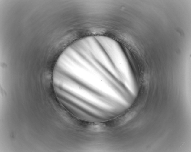 X0000090720321200708101558