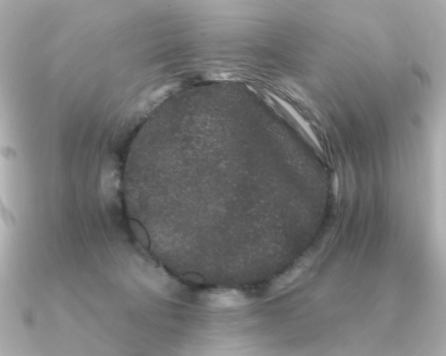 X0000090720322200708101558