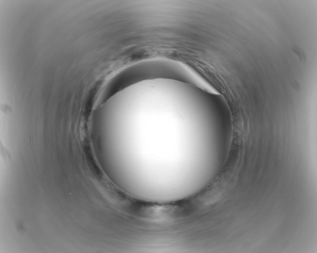 X0000090720323200708101558