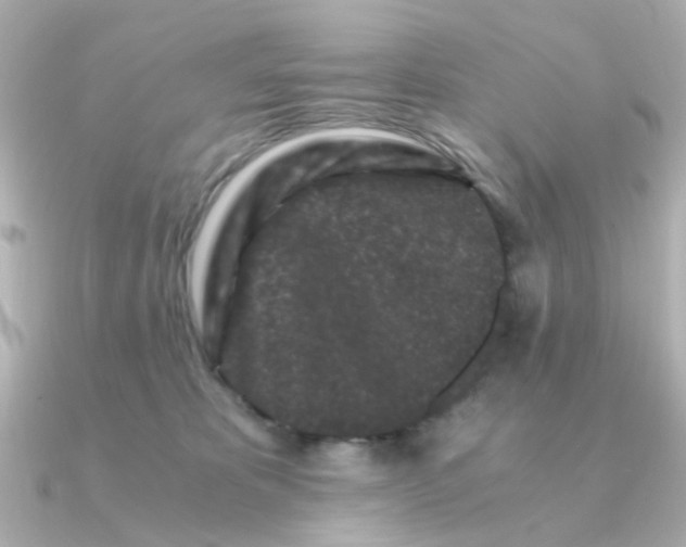 X0000090720325200708101558