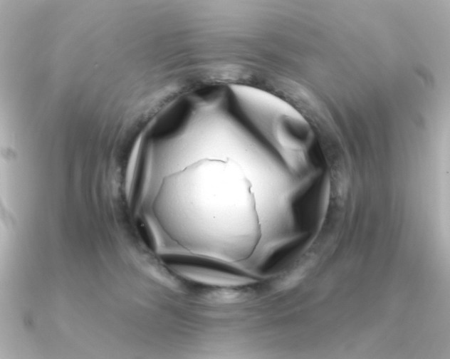 X0000090720326200708101558