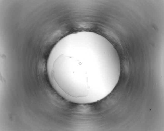 X0000090720328200708101558