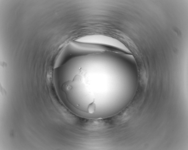 X0000090720329200708101558