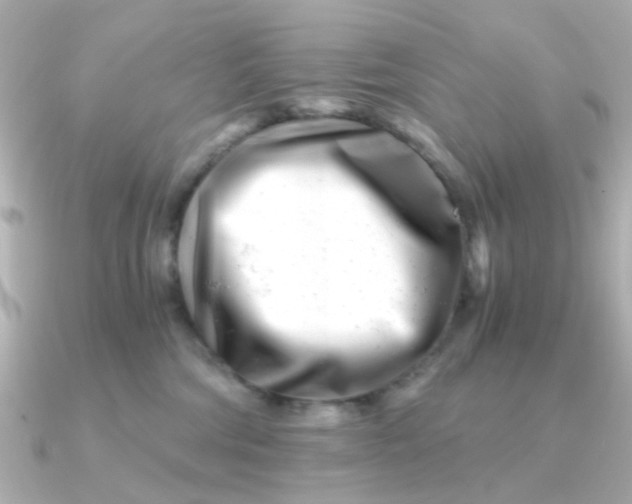 X0000090720330200708101558