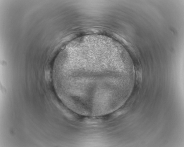 X0000090720331200708101558