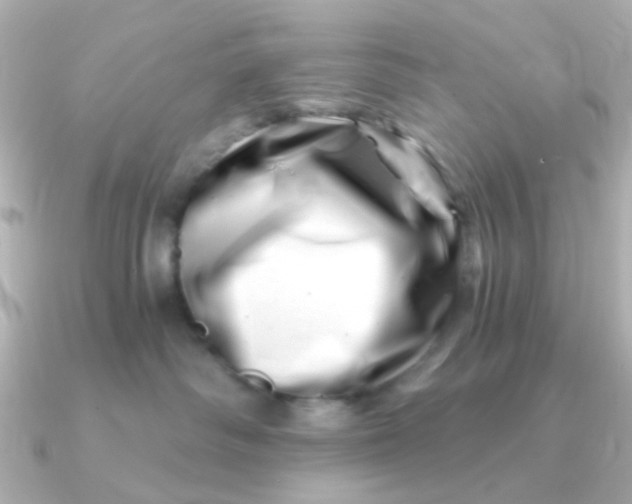 X0000090720334200708101558