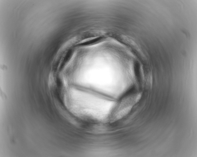 X0000090720335200708101558