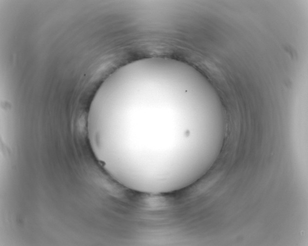 X0000090720336200708101558