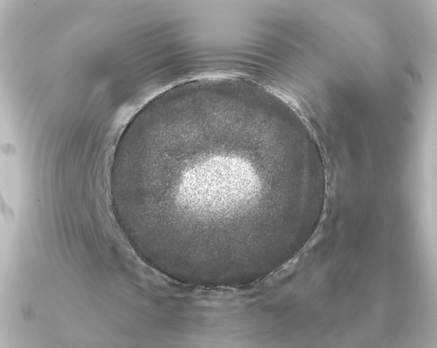 X0000090720337200708101557