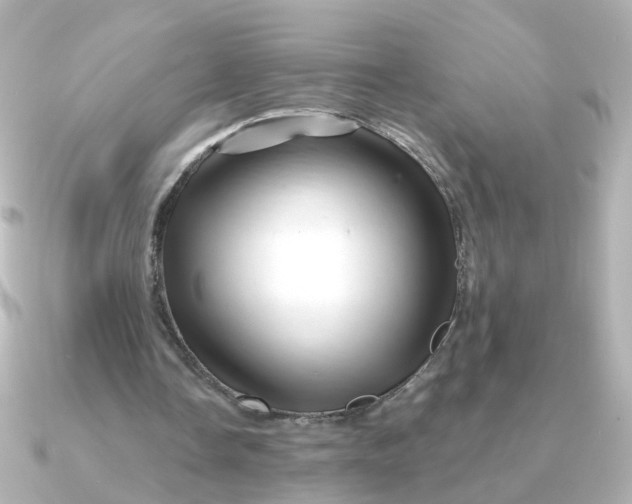 X0000090720338200708101557