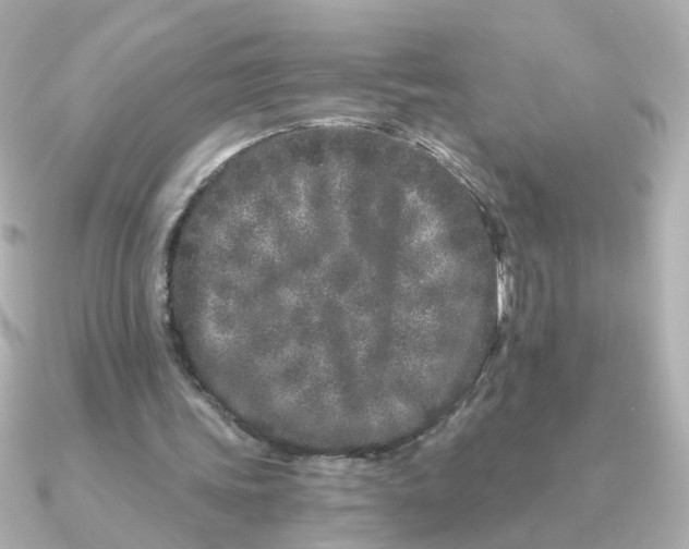 X0000090720339200708101557