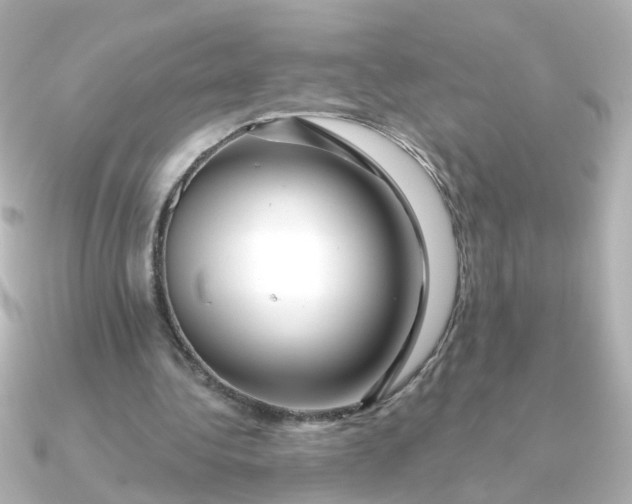 X0000090720340200708101557