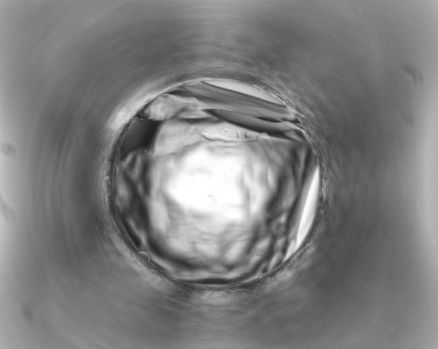 X0000090720341200708101557