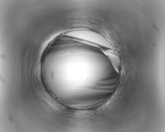 X0000090720342200708101557