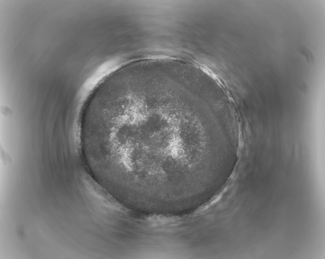 X0000090720343200708101557