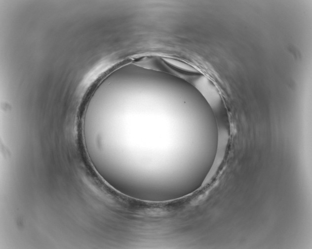 X0000090720344200708101558