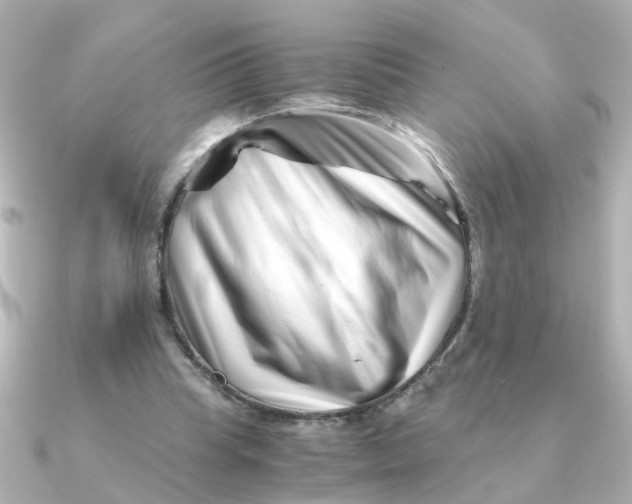 X0000090720345200708101558