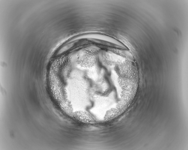 X0000090720346200708101558