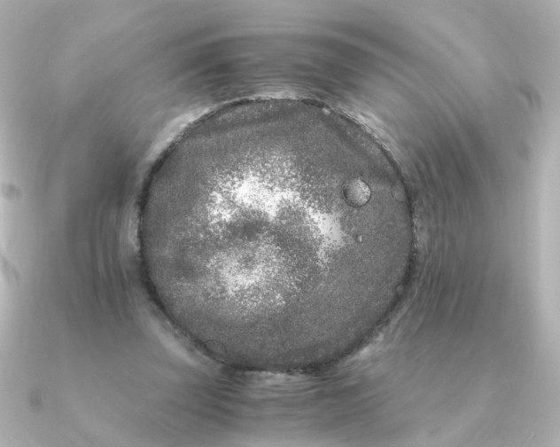 X0000090720347200708101558