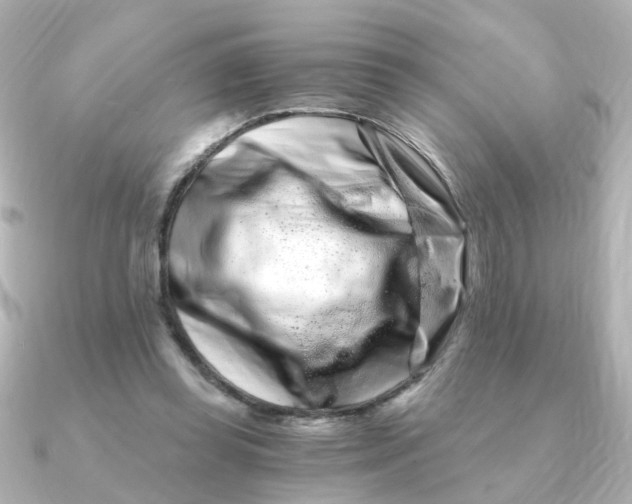 X0000090720349200708101558