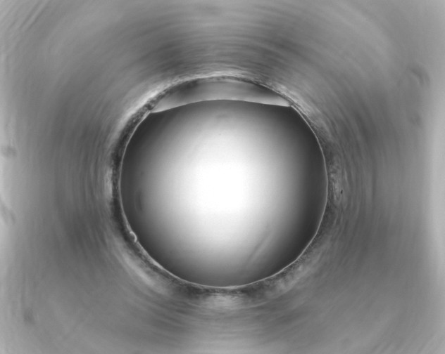 X0000090720350200708101558