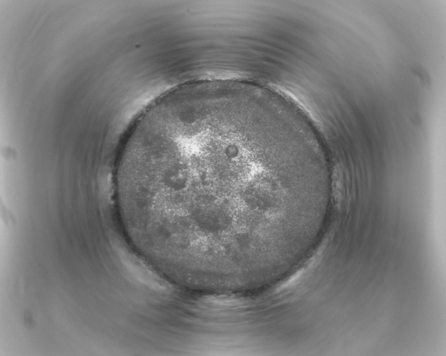 X0000090720351200708101558