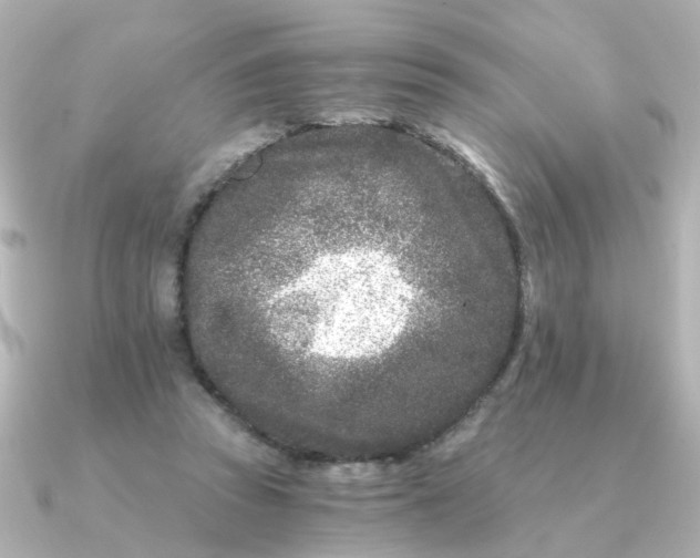 X0000090720353200708101558