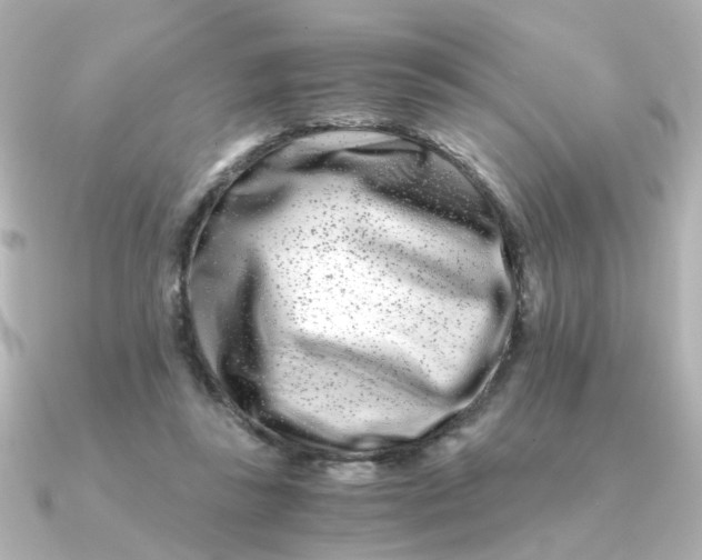 X0000090720355200708101558