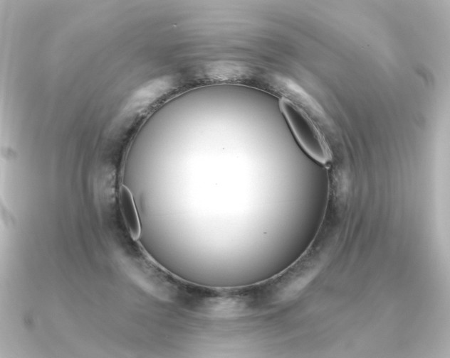 X0000090720356200708101558