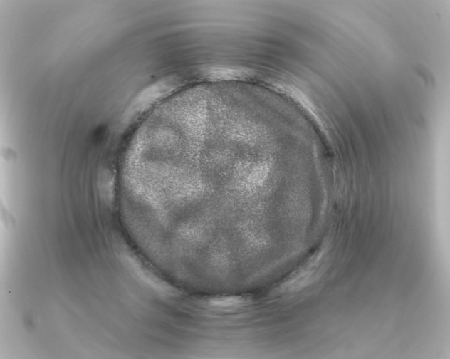 X0000090720357200708101558